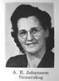Agda Johansson Sinnerskog.jpg