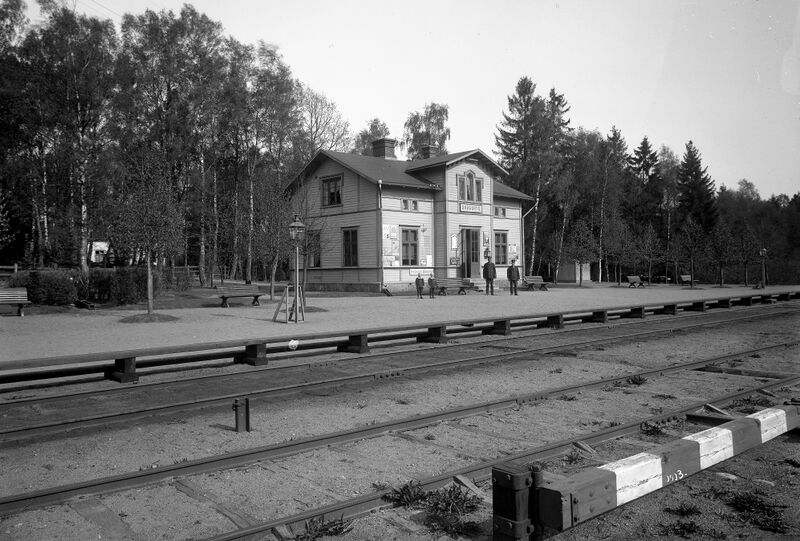 Fil:Skogsryd 001.jpg