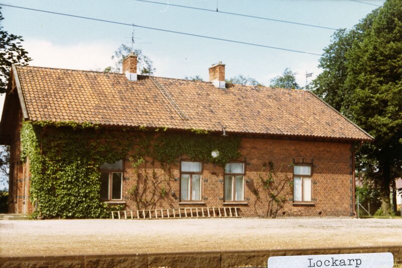 Fil:Lockarp 001.jpg