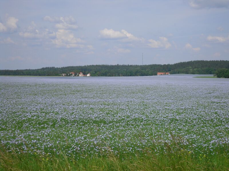 Fil:Östgötaslätten vid Ljung.jpg
