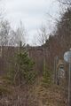 Spåret till Bergs såg LP numera Vida såg. Bilden är tagen mot Bergs såg - 2023 Foto: Jan Karlsson