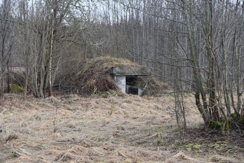 Fil:Ryningsnäs BV 002.jpg