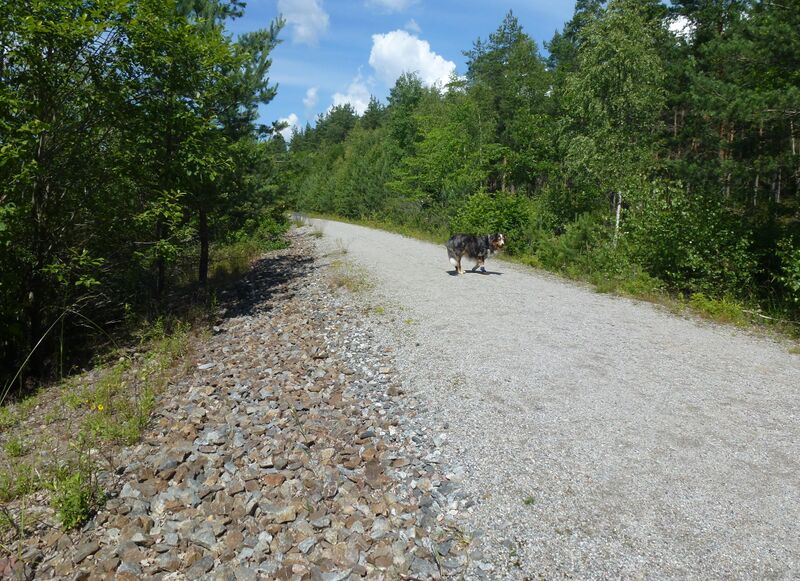 Fil:Stäksön banvall 2014.jpg