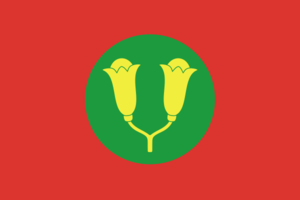 Flag of the Sultanate of Zanzibar (1963).svg