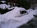 Miniatyrbild för versionen från den 17 januari 2022 kl. 09.56