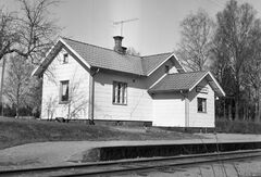 Torsjövik 001.jpg